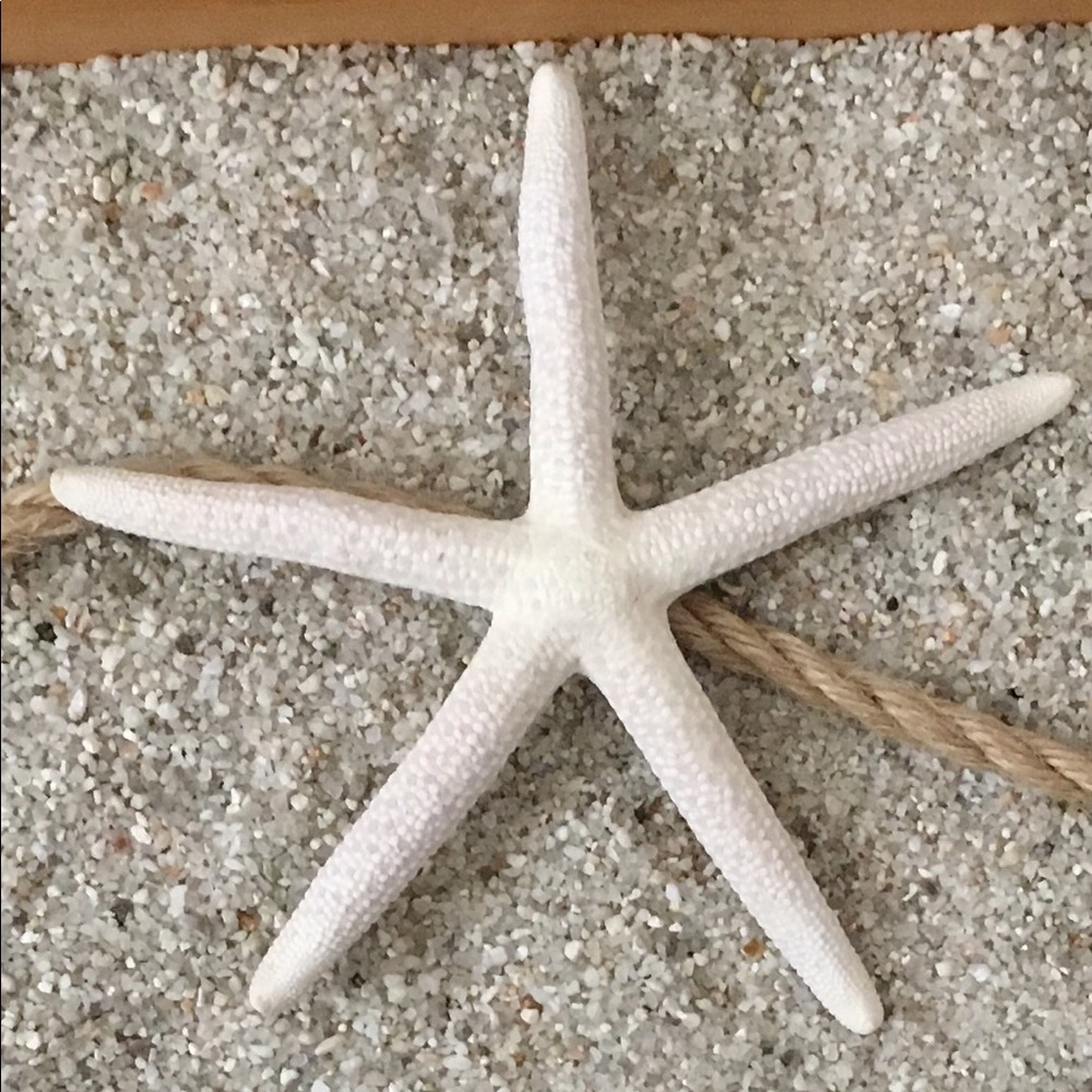 Meet your Posher, Liza